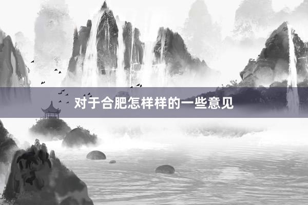 对于合肥怎样样的一些意见