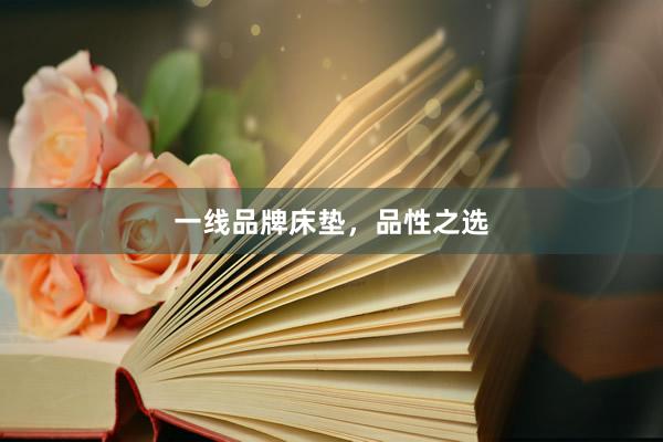 一线品牌床垫，品性之选